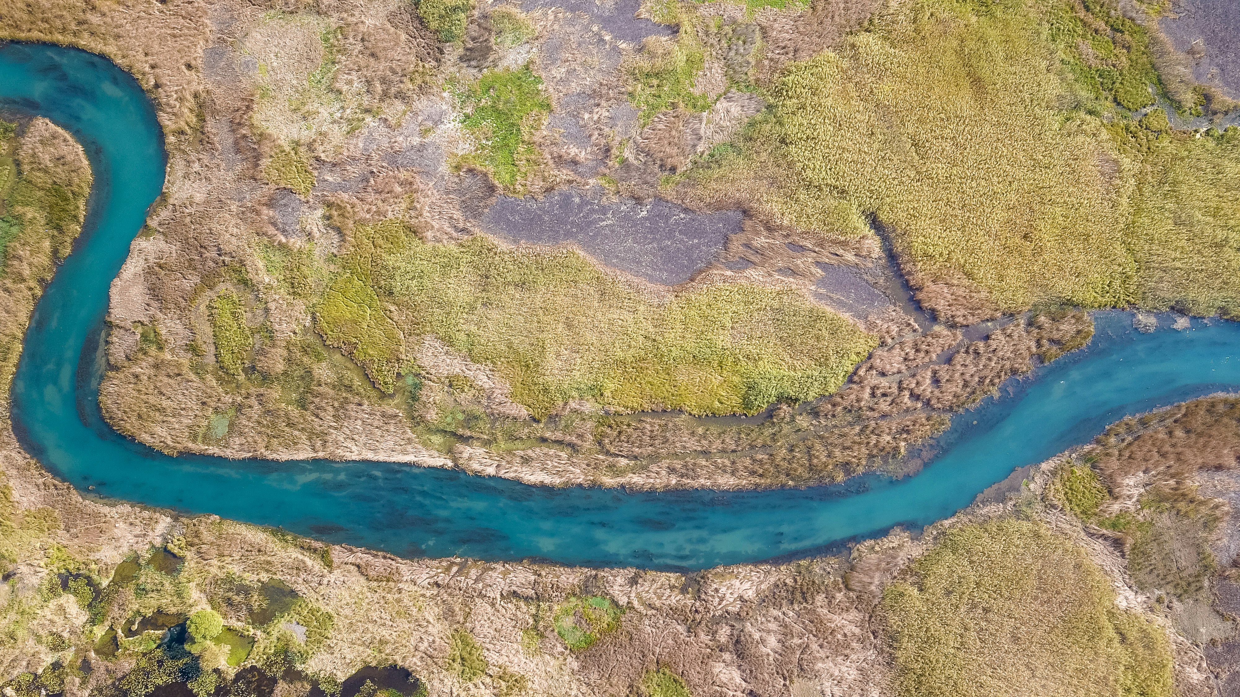 top view of a winding river